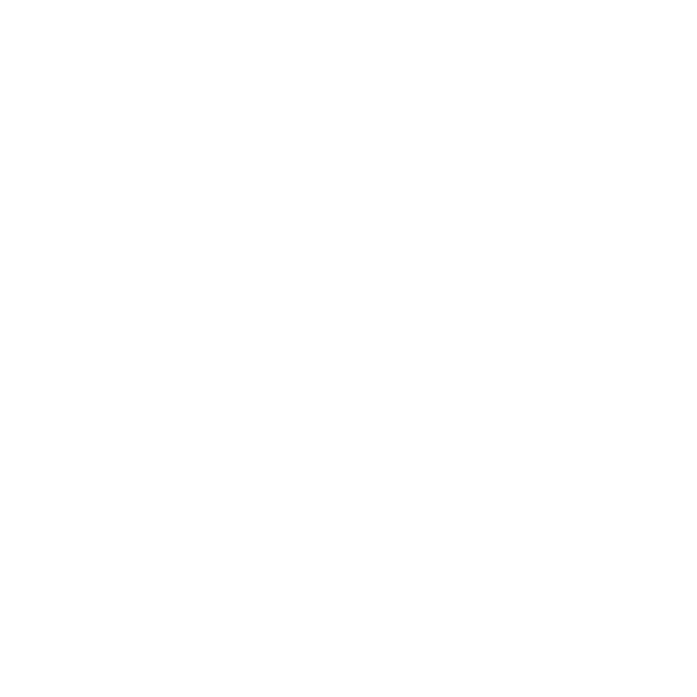 Icon SecureText